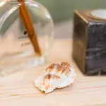 Azurara Guesthouse Azurara