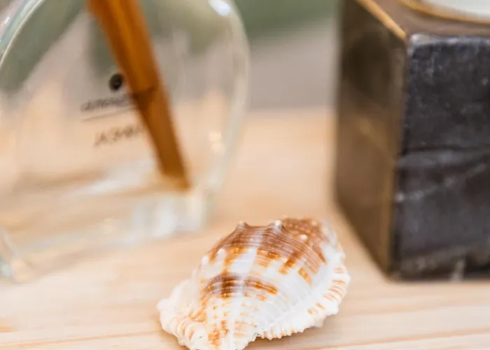 Azurara Guesthouse Azurara